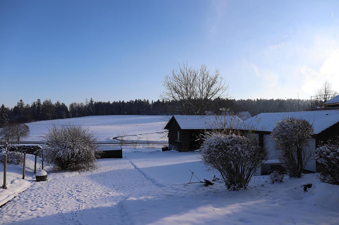 Gästehaus Willaringen Rickenbach  Exterior foto