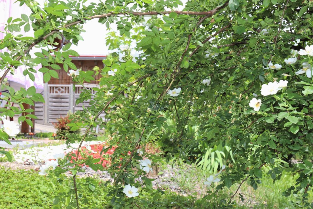 Gästehaus Willaringen Rickenbach  Exterior foto